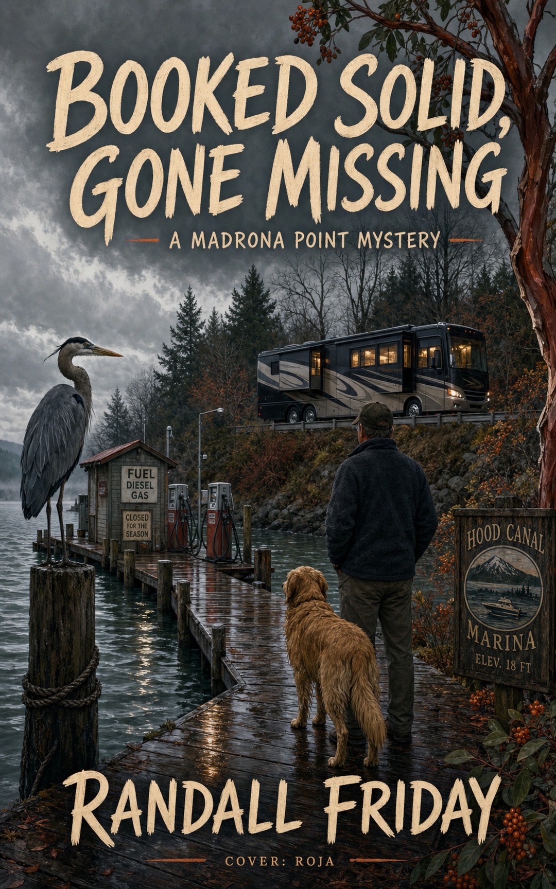 Cover of Booked Solid, Gone Missing by Randall Friday